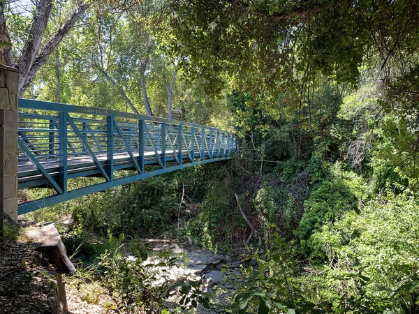 Footbridge Sobre Stevens Creek Mountain View Califórnia — Fotografia de Stock