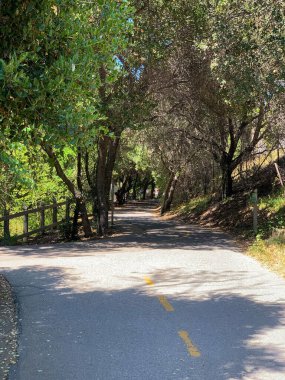 Stevens Creek Patikası Banliyö yabanı boyunca Dağ Manzarası, Kaliforniya