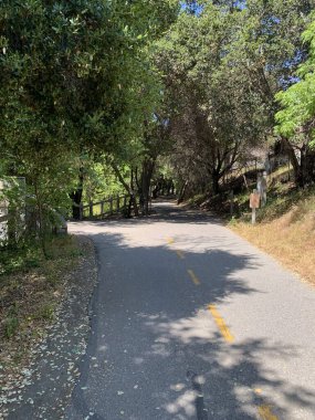 Stevens Creek Patikası Banliyö yabanı boyunca Dağ Manzarası, Kaliforniya