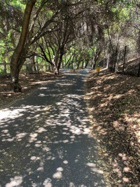 Stevens Creek Patikası Banliyö yabanı boyunca Dağ Manzarası, Kaliforniya