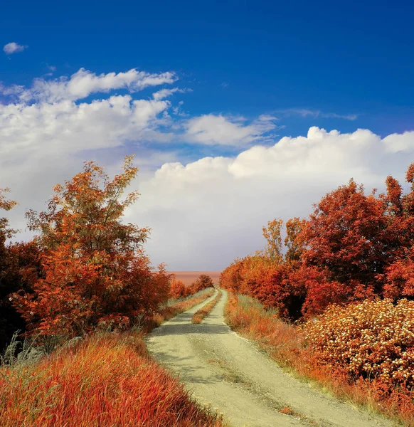 Herbstlandschaft mit Straße — Stockfoto