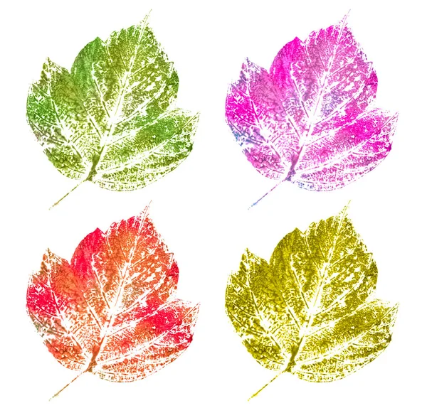 Stamp of leaf — Stock Photo, Image
