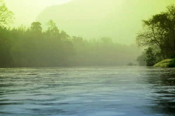 Nebel mystische Fluss- und Waldlandschaft — Stockfoto