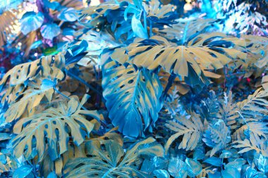 Tropikal canavar bitkileriyle dolu bir orman. Doğa arkaplanı.