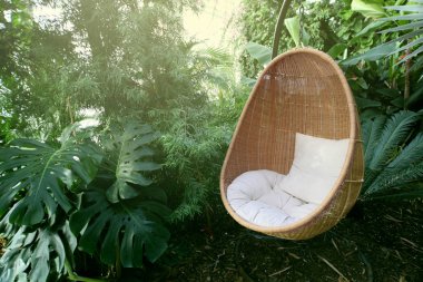 Rattan oval sallanan sandalye tropikal bitkide yastıkla.