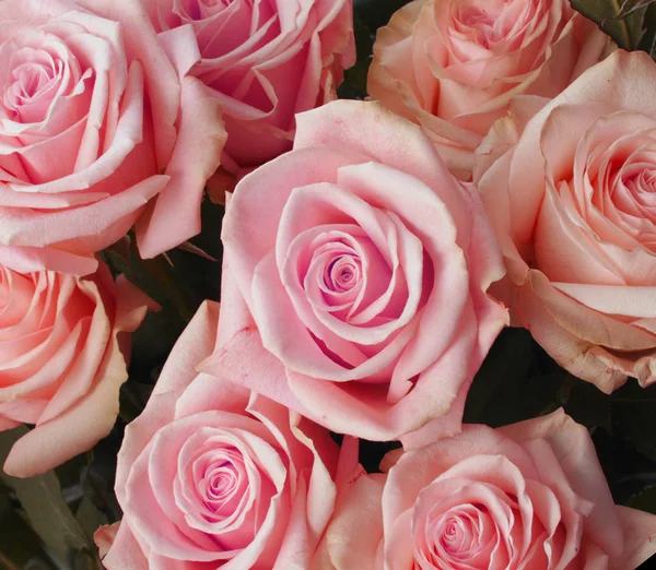 Fond de bouquet de fleurs. Roses roses . — Photo