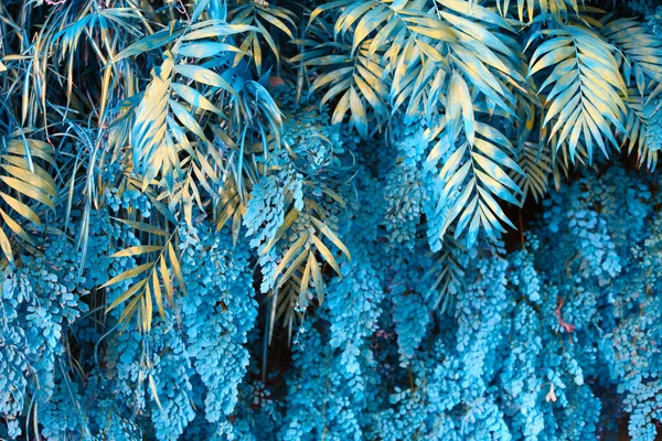 Parete con piante tropicali. Natura sfondo blu . — Foto Stock