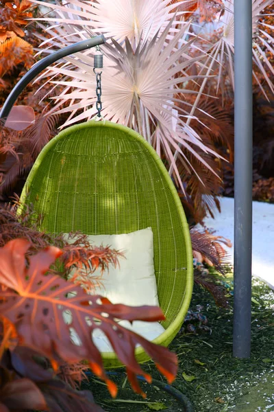 Chaise suspendue ovale en rotin avec oreiller en plante tropicale . — Photo