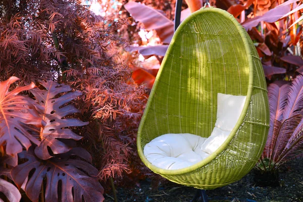 Chaise suspendue ovale en rotin avec oreiller en plante tropicale . — Photo