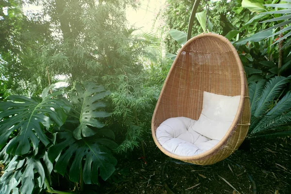 Rotting oval hängande stol med kudde i tropisk växt. — Stockfoto