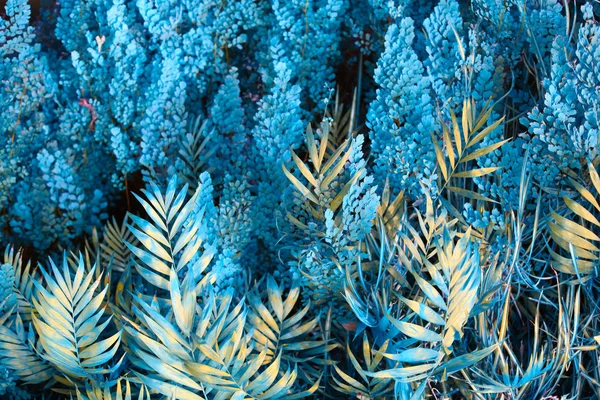 Ściana z tropikalnych roślin. Natura niebieskie tło. — Zdjęcie stockowe
