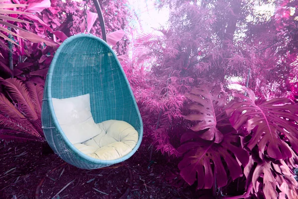 Chaise Suspendue Ovale Rotin Avec Oreiller Plante Tropicale — Photo