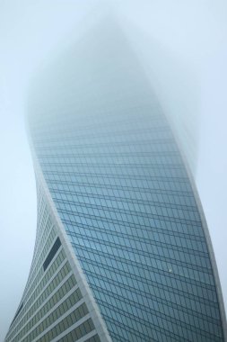 Moskova şehir içinde kurbağa