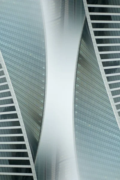 Moskova şehir içinde kurbağa