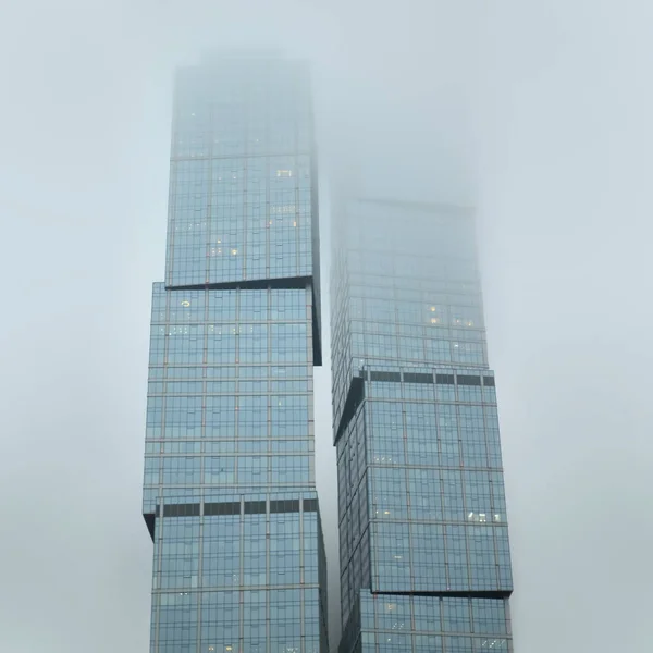 Moskova şehir içinde kurbağa