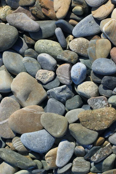 夏天炎热的阳光普照下 索契的黑海海岸上有多彩的石头 — 图库照片