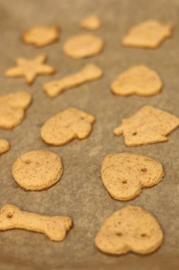 Freshly Baked Holiday Gingerbread Cookies