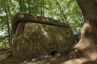 Antik megalitik dolmen, Adıge, Rusya Federasyonu
