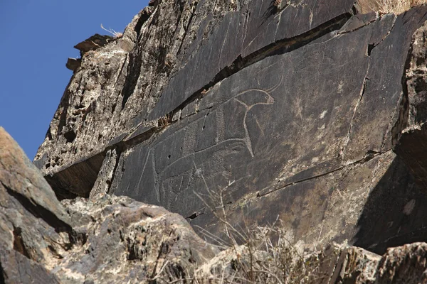 Desenhos rupestres antigos, búfalo com bezerro — Fotografia de Stock
