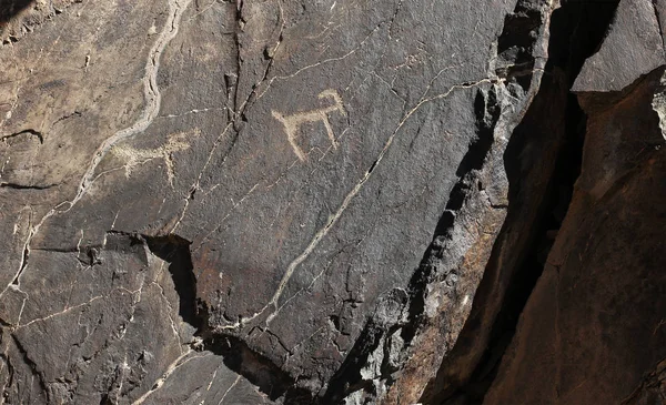ancient rock drawings, deer, dog