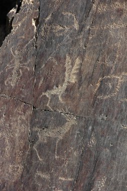 Antik kaya çizimler, yüksek dallı boynuzları ile geyik