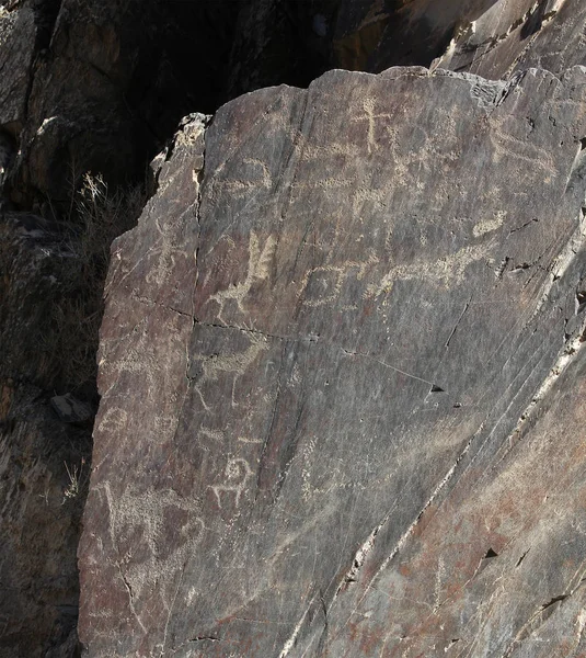 Uralte Felszeichnungen (Petroglyphen), Hirsche, Hunde, Stiere, Büffel, hu — Stockfoto
