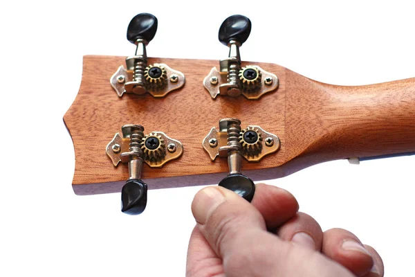 Reverse side of the ukulele headstock, isolated — Stock Photo, Image