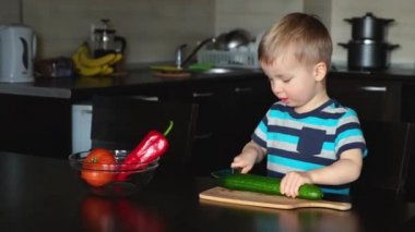 Küçük vejetaryen çocuk mutfakta sebze salatası pişirir, büyük yeşil salatalığı bıçakla keser ve çanağın içine atar, koordinasyon ve bağımsızlık konusunda küçük yardımcı montessori eğitim becerisi.