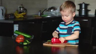 Küçük vejetaryen çocuk dikkatle keser ve kırmızı biberi bıçakla görür, mutfakta sebze salatası pişirir, vejetaryen çocuk montessori eğitim becerisi koordinasyon ve bağımsızlık.
