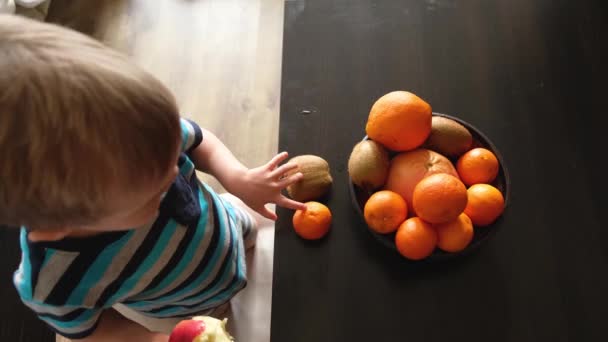 Small Vegetarian Child Eats Apple Breakfast Big Plate Fresh Fruits — Stock Video