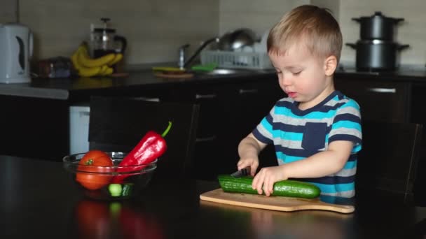 Kleines Selbstständiges Kind Schneidet Und Sägt Große Grüne Gurke Mit — Stockvideo