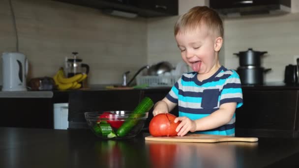 小孩子切了又切 看见红色的大西红柿拿着刀 到处鬼鬼祟祟 玩得很开心 在厨房里煮蔬菜沙拉 小素食主义者训练协调的技巧 — 图库视频影像