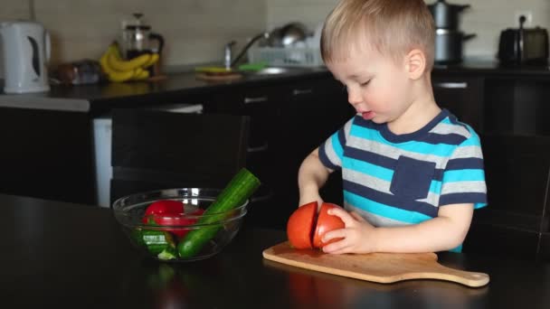 Klein Vegetarisch Kind Snijdt Grote Rode Tomaat Met Mes Laat — Stockvideo