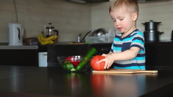 malé nezávislé dítě se usilovně snaží krájet velké červené rajče s nožem, vaří zeleninový salát v kuchyni, malé vegetariánské dítě pomocník trénink dovednost koordinace 