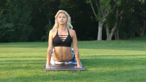 Mujer deportiva haciendo ejercicios de estiramiento al aire libre. Chica de fitness haciendo saltos en el parque en verano. Entrenamiento en un día soleado. Entrenamiento de mujer atlética delgada. Mujer haciendo ejercicios de fitness. Entrenamiento de atleta femenina — Vídeos de Stock