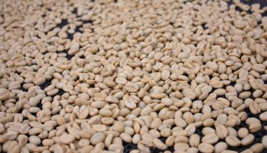 Doğal kuru kahve çekirdekleri