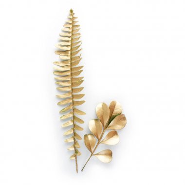 altın yaprak tasarım öğeleri