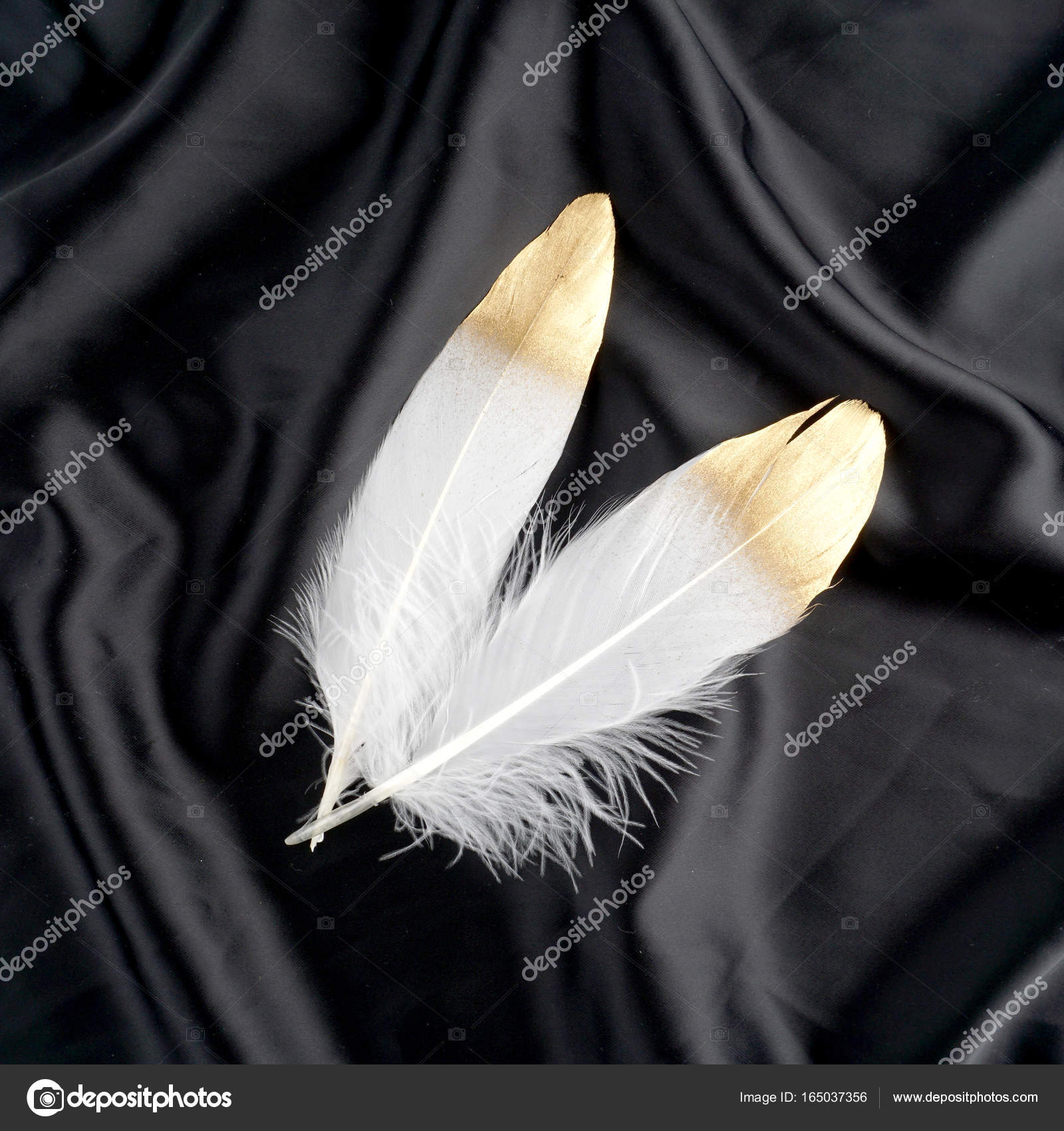 Set Of Luxury Gilded Gold Golden White Swan Feather On Black