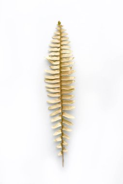 altın yaprak tasarım öğeleri. Davetiye, düğün kartları, Sevgililer günü, tebrik kartları için dekorasyon öğeleri. Beyaz arka plan üzerinde izole.