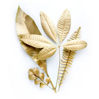 altın yaprak tasarım öğeleri. Davetiye, düğün kartları, Sevgililer günü, tebrik kartları için dekorasyon öğeleri. Beyaz arka plan üzerinde izole.