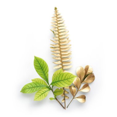 Altın ve yeşil yaprak tasarım öğeleri. Davetiye, düğün kartları, Sevgililer günü, tebrik kartları için dekorasyon öğeleri. Beyaz arka plan üzerinde izole.