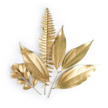 altın yaprak tasarım öğeleri. Davetiye, düğün kartları, Sevgililer günü, tebrik kartları için dekorasyon öğeleri. Beyaz arka plan üzerinde izole.