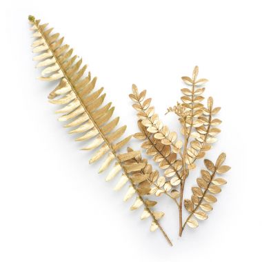 altın yaprak tasarım öğeleri. Davetiye, düğün kartları, Sevgililer günü, tebrik kartları için dekorasyon öğeleri. Beyaz arka plan üzerinde izole.