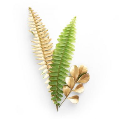 Altın ve yeşil yaprak tasarım öğeleri. Davetiye, düğün kartları, Sevgililer günü, tebrik kartları için dekorasyon öğeleri. Beyaz arka plan üzerinde izole.