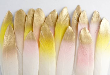 set of gilded golden gold yellow pink feather isolated on white background clipart
