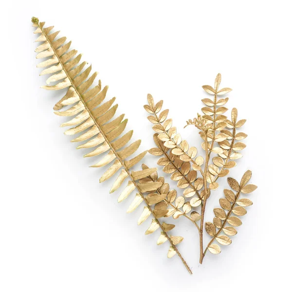 altın yaprak tasarım öğeleri. Davetiye, düğün kartları, Sevgililer günü, tebrik kartları için dekorasyon öğeleri. Beyaz arka plan üzerinde izole.