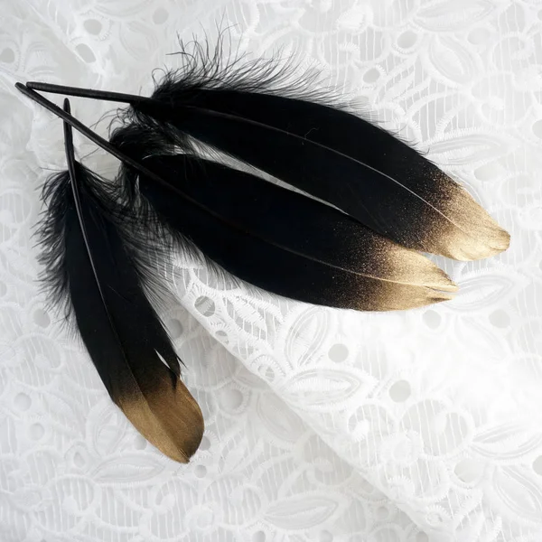 Conjunto de luxo ouro dourado pena cisne preto dourado no fundo de renda branca — Fotografia de Stock