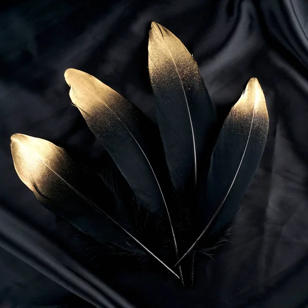 Luxe verguld goud gouden zwarte zwaan pluim op zijden doek achtergrond — Stockfoto