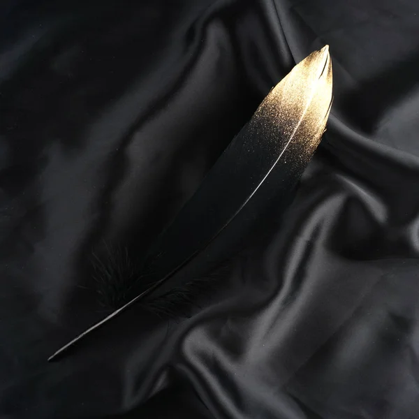 高級金色の絹の布背景上の金のゴールデン ブラック スワンの羽 — ストック写真
