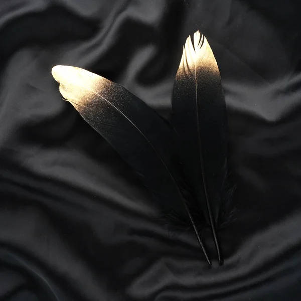 Oro dorado de lujo pluma de cisne negro dorado sobre fondo de tela de seda — Foto de Stock